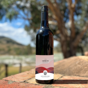 2019 - Merlot