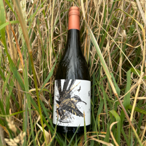 2023 - Gewürztraminer+